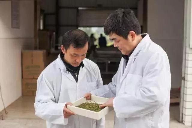 匠心，只为一杯天府龙芽！