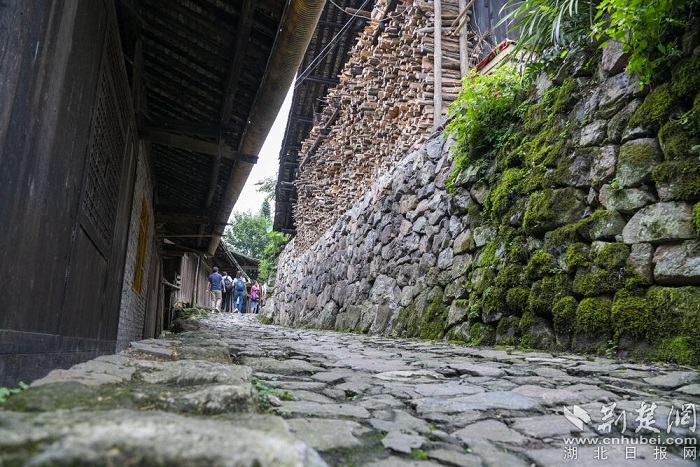 走雅安甘溪坡茶马古道 感受厚重背夫文化