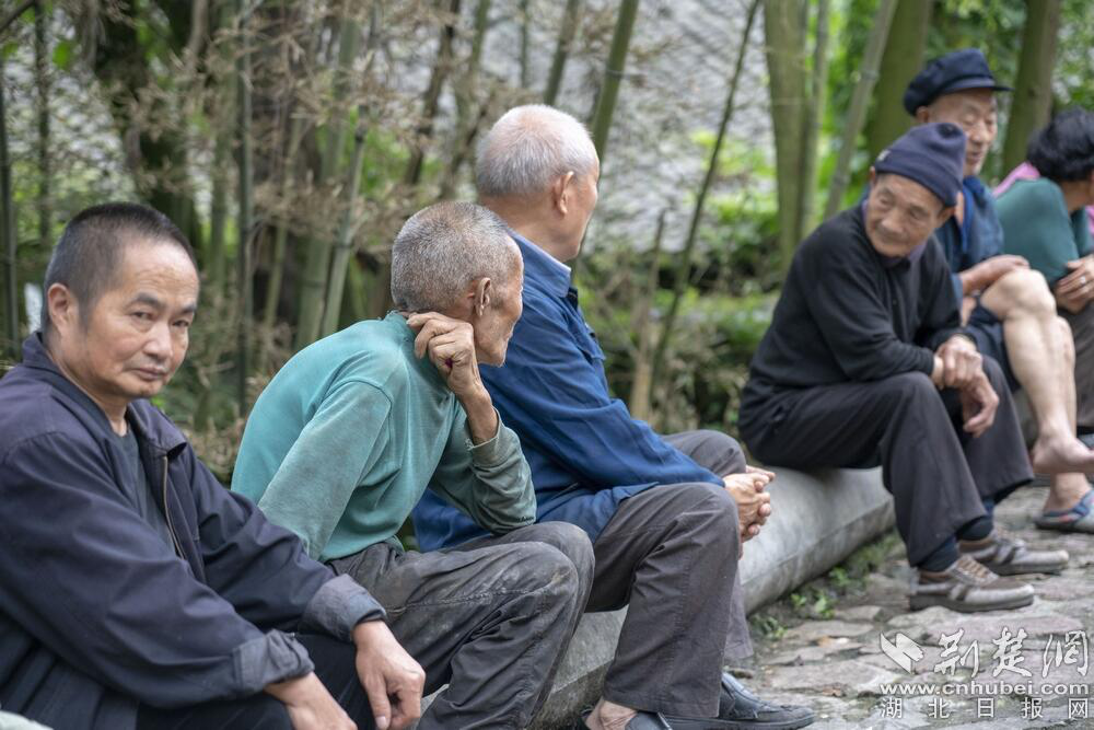 走雅安甘溪坡茶马古道 感受厚重背夫文化