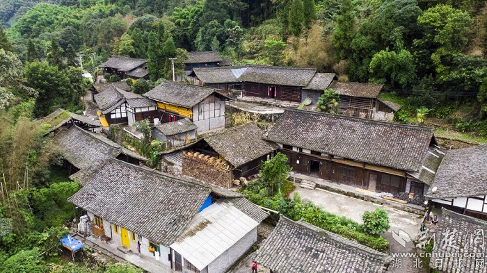 走雅安甘溪坡茶马古道 感受厚重背夫文化