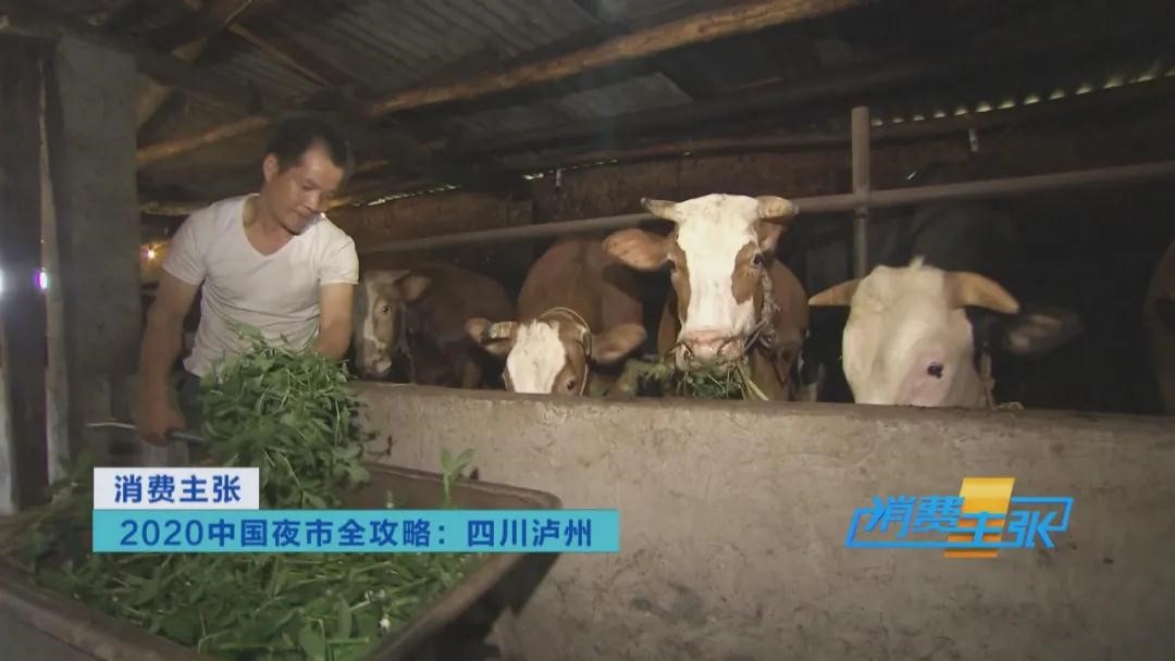 泸州这些美食上央视，你pick哪个？