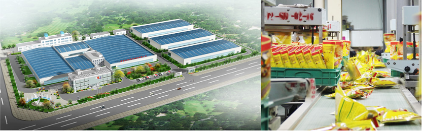 “中国鸡精十大品牌”——金宫