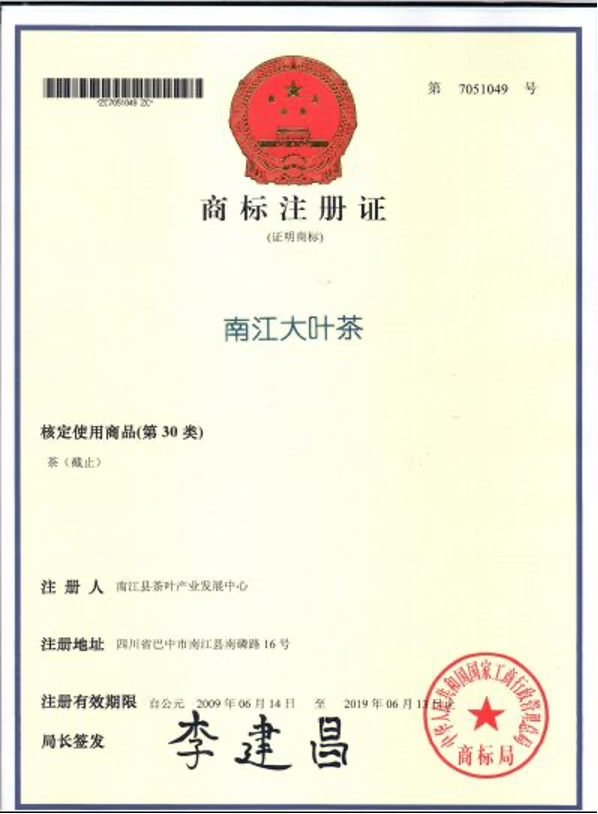 四川地理标志——南江大叶茶
