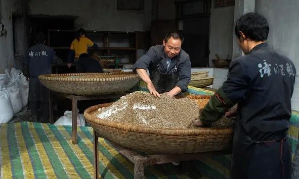 国家级“非遗”——潼川豆豉