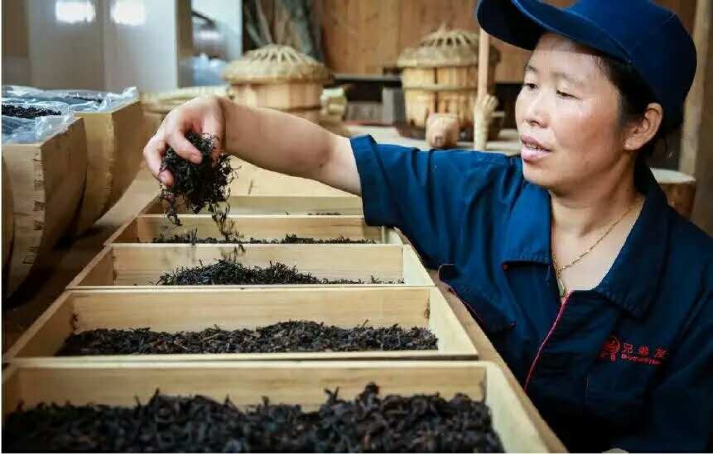 雅安南路边茶