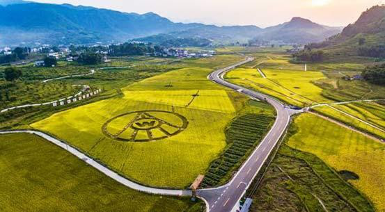 第八代五粮液什么味道 多粮浓香名酒品质