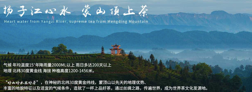 蒙顶山茶业：“茶祖故里、世界茶源”