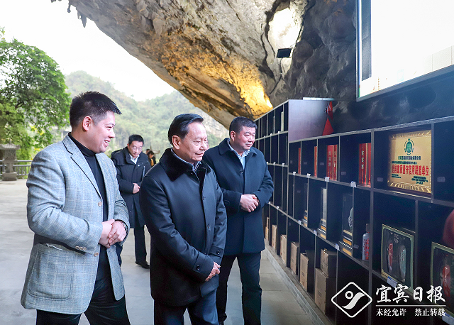 张崇和到兴文考察洞藏酒产业集群培育工作