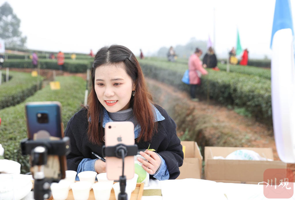 新春第一“采”——北纬28度的第一缕茶香来了！