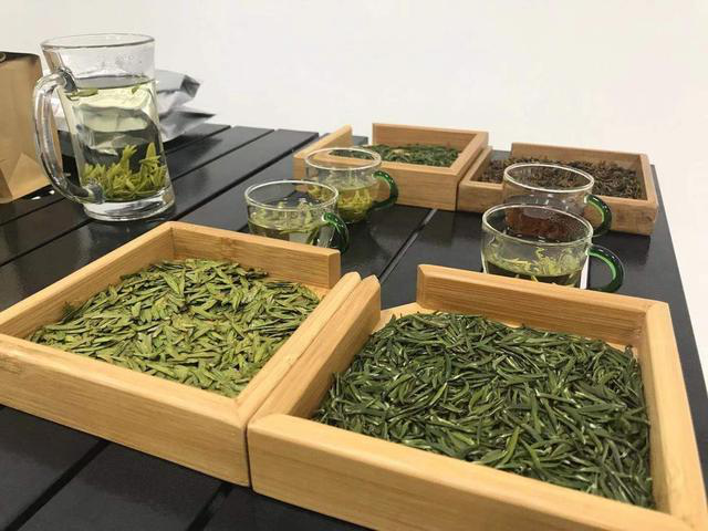 春天观“茶”室｜喝早茶了！茶商茶客汇聚宜宾筠连“川之南”茶城