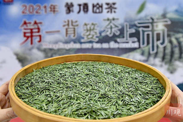 四川雅安第一背篓蒙顶山茶上市 2021春天在“茶海”里“品”清香