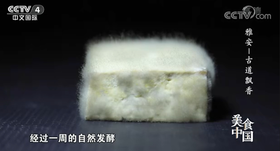 央视《美食中国》锁定雅安 重现茶马古道上的这些美食