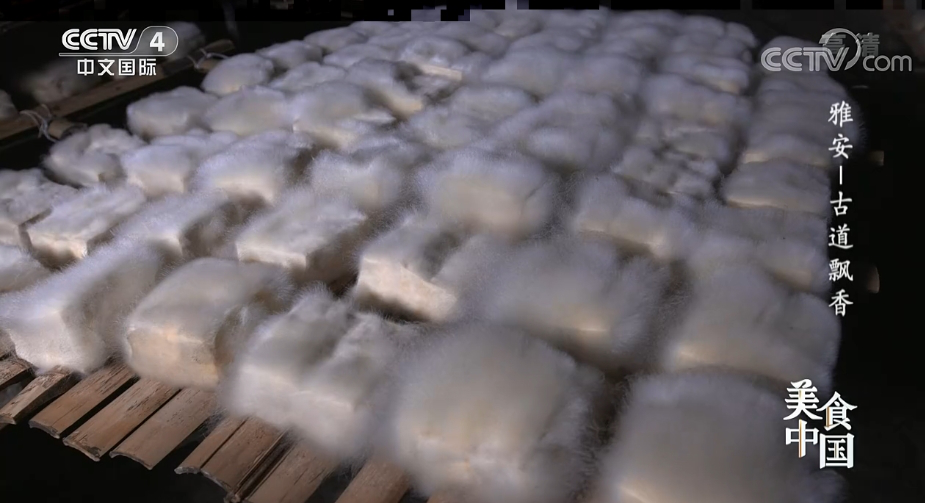 央视《美食中国》锁定雅安 重现茶马古道上的这些美食