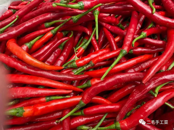 为什么川菜现在在中国这么受欢迎？