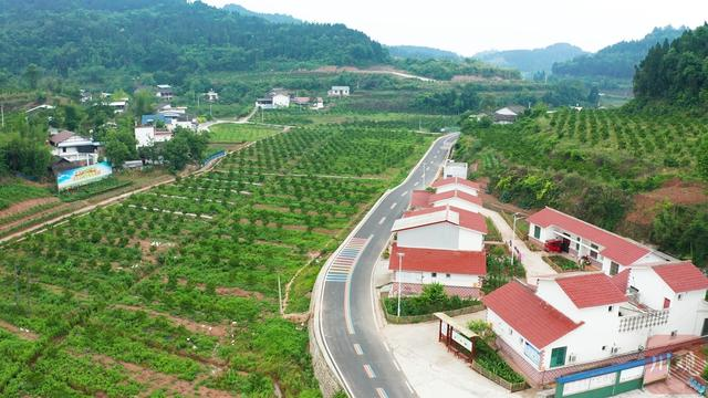 遂宁射洪舍得酿酒专用粮特色产业园：2个超级合作社 带活4镇20村