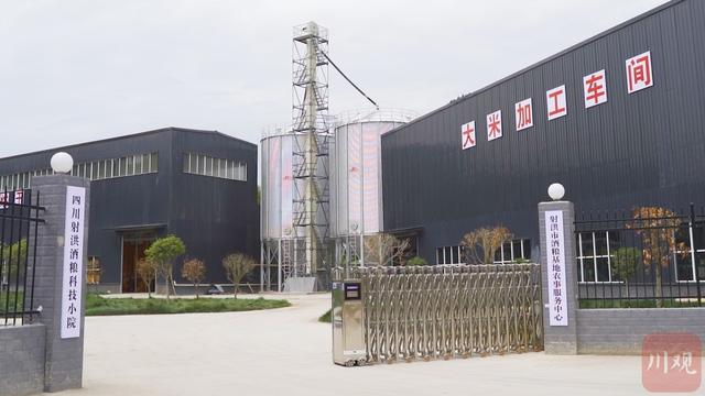 遂宁射洪舍得酿酒专用粮特色产业园：2个超级合作社 带活4镇20村