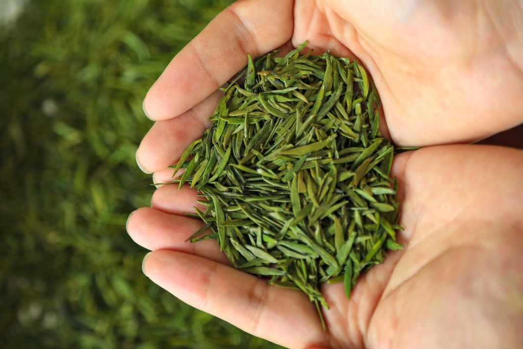 “链”式走强 峨眉山茶挺进迪拜世博会