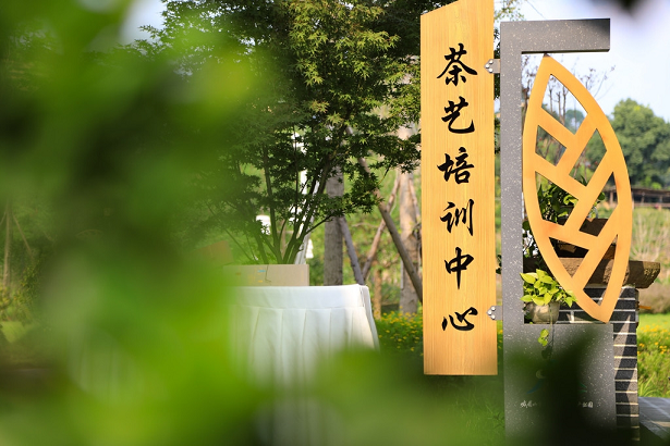 “链”式走强 峨眉山茶挺进迪拜世博会
