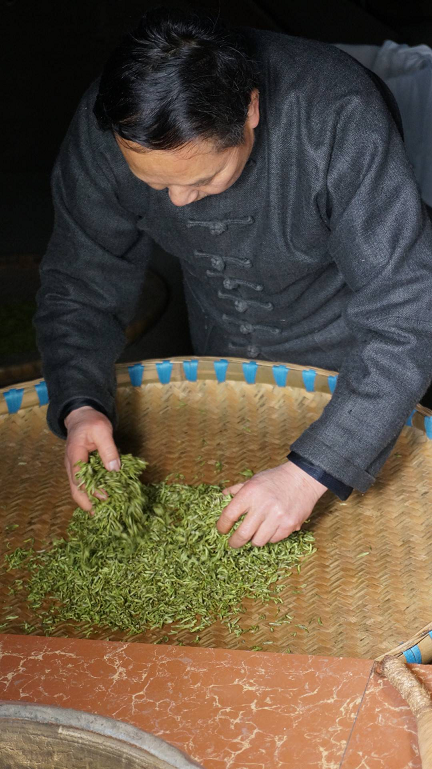 2000年的坚守与创新 雅安蒙山茶传统制作技艺新晋国家级非遗
