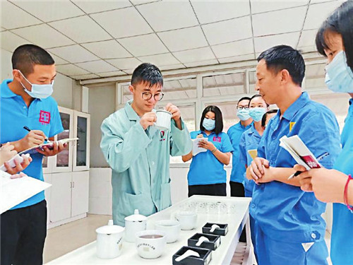 南路边茶 传承千年的茶香