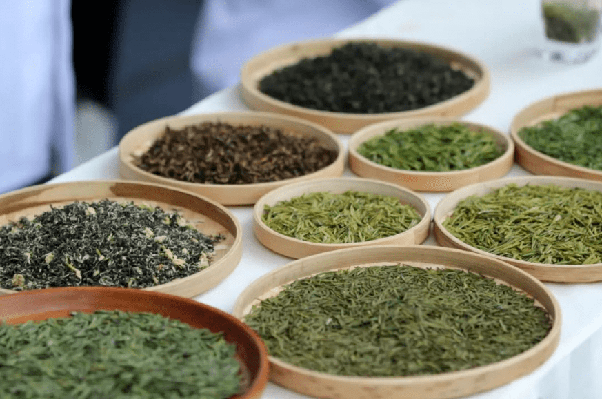 精制川茶“泡”出夹江“青衣江茶”一片蓝图