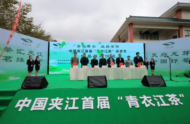 精制川茶“泡”出夹江“青衣江茶”一片蓝图