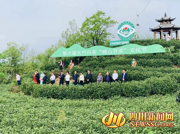 “喊山开茶”托起“致富梦” 大竹县举办第六届“喊山开茶文化节”