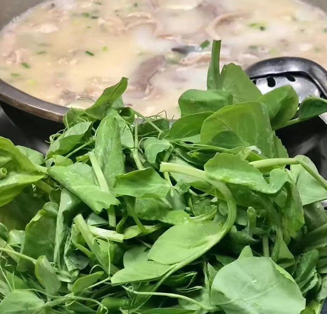 成都人最早从啥时候开始吃豌豆尖？ 