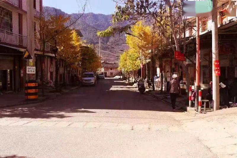 麻陇凉粉