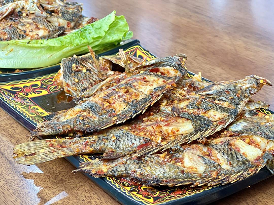 凉山火把节首届美食大赛启幕 在218道美食里品尝凉山味道