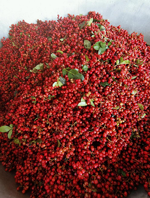 佐餐佳品——汉源花椒油