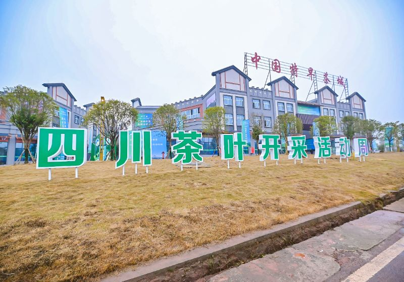 四川省第十一届茶叶开采活动周启动