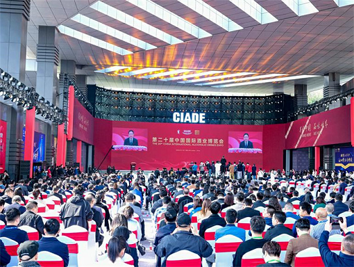 走进泸州黄舣镇，来一场与“酒”的邂逅