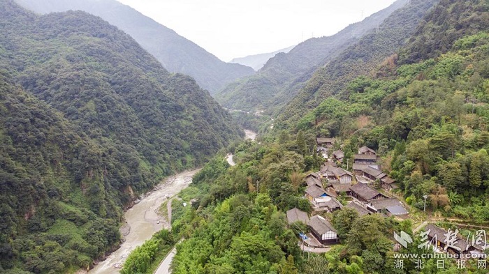 走雅安甘溪坡茶马古道 感受厚重背夫文化