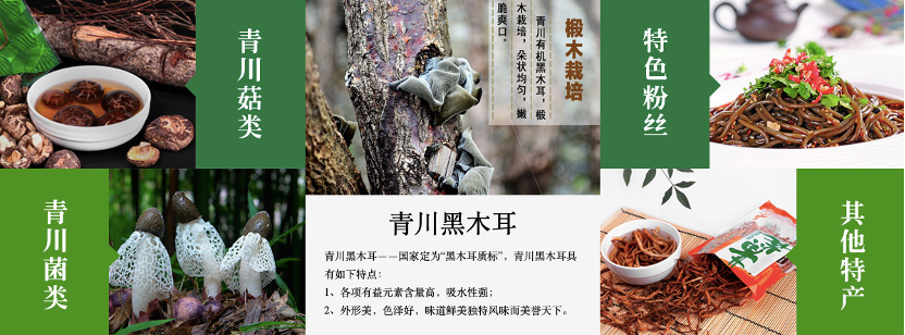 农业产业化国家重点龙头企业——青川县川珍实业