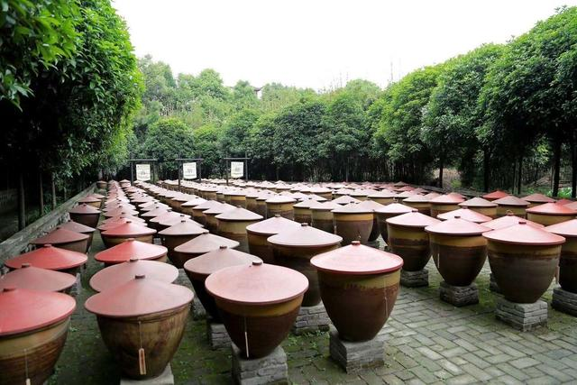 这些科普基地 打开“酸甜苦辣”背后的大千世界